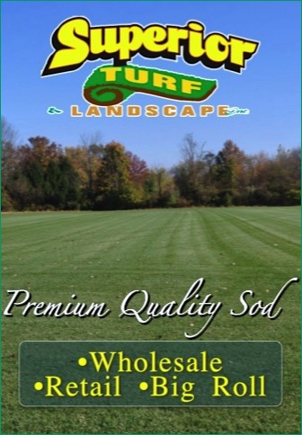 Premium Quality Sod: Wholesale, Retail, Big Roll